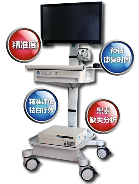 金秋送爽迎十一，白斑在南阳(图3)